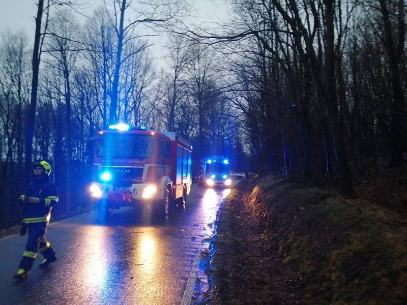 Hasiči z Hrádku nad Nisou, Chrastavy a Liberce zasahovali v pondělí ráno u vyvrácených stromů ve Václavicích.