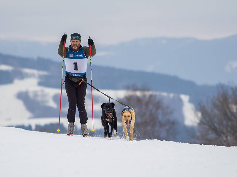 Mistrovství České republiky psích spřežení pokračovalo v neděli 12. února 2017 v Zásadě na Jablonecku. Musheři jeli kategorie sprint a mid. Na snímku Pavel Šarkovský z Janova nad Nisou.