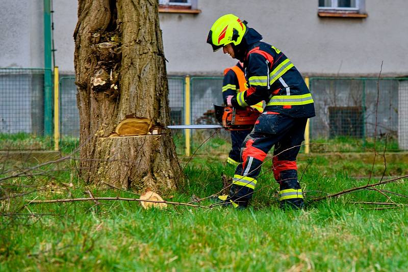 Hrádečtí dobrovolní hasiči pokáceli stromy na místě výstavby pro záchranku