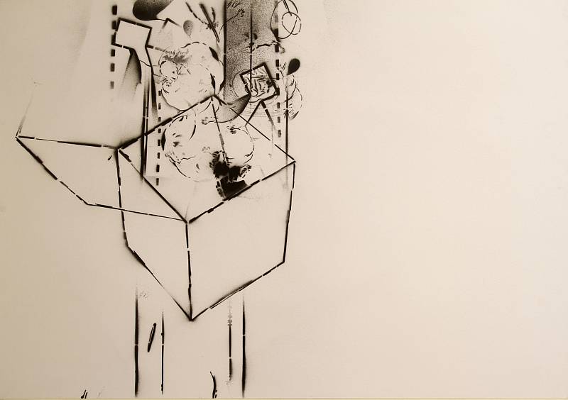 Oblastní galerie v Liberci (OGL) v loňském roce nakoupila umělecká díla za více než milion korun. Na fotce dílo Markéty Hlinovské s názvem Pád II (z cyklu Hnízda a pasti), 2011, sprej na papíře, 70 × 100 cm.