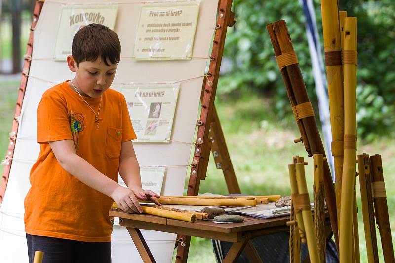 Greenfest, festival plný inspirativních přednášek a dílen na témata přírodní stavitelství, energetická soběstačnost, permakultura, zdravá strava či osobní rozvoj proběhl 3. června již po páté.