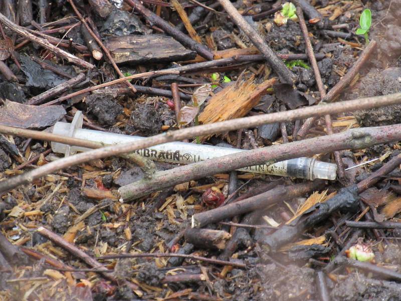 Parčík Na Rybníčku je jedním z míst v Liberci, kde se narkomani často schází. Najít zde použitou jehlu nebo stříkačku tak není žádnou výjimkou.