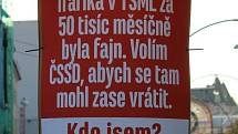 Čtyři hodiny trvala výstava v rámci předvolební kampaně, kterou v centru Liberce uspořádala Změna pro Liberec.