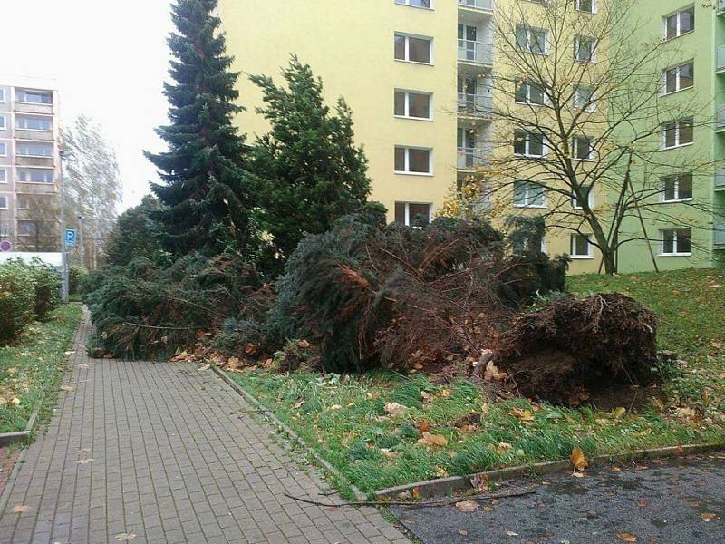 Vítr řádil na libereckém sídlišti Rochlice.