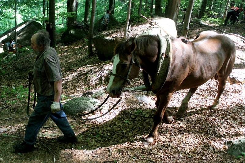 Těžařský kůň uvízl mezi balvany v lese v Oldřichově v Hájích na Liberecku. Zraněného se ho podařilo hasičům vyprostit po třech hodinách.