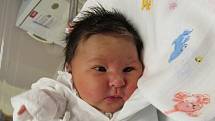 ANNA LUŇÁKOVÁ  Narodila se 30. ledna v liberecké porodnici mamince Kamile Dufkové z Chrastavy. Vážila 3,64 kg a měřila 50 cm.
