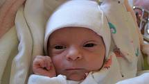 Silvie Kučerová se narodila 22. května v liberecké porodnici mamince Sylwii Paulusové z Liberce. Vážila 2,1 kg a měřila 47 cm.