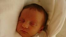 Maminka Diana Horáková z Liberce v liberecké porodnici dne 4.06.2008 přivedla na svět dceru Dianu Horákovou, která při narození vážila 2,25 kg a měřila 43 cm.