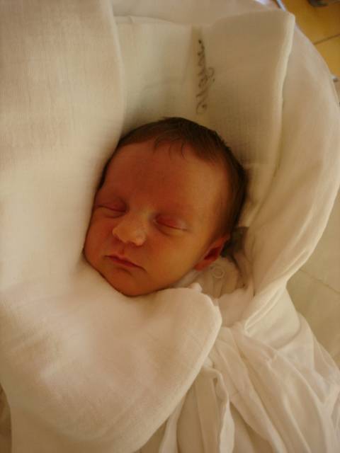 Maminka Diana Horáková z Liberce v liberecké porodnici dne 4.06.2008 přivedla na svět dceru Dianu Horákovou, která při narození vážila 2,25 kg a měřila 43 cm.