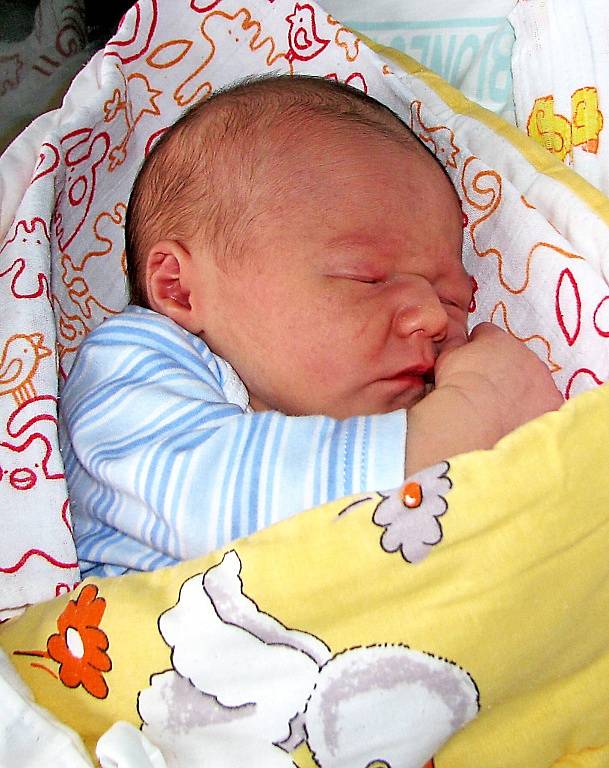 Syn Ladislav Pospíšil se narodil 7. listopadu  rodičům Vendule a Radku Pospíšilovým z Liberce. Měřil 51 cm a vážil 3,3 kg.
