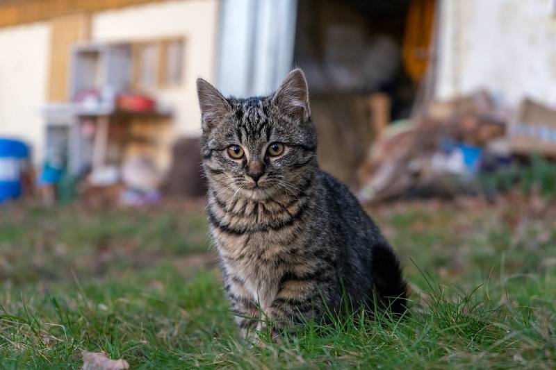 Kromě přírody patří mezi jeho největší koníčky fotografování.