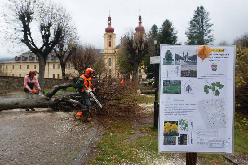 Kácení stromů před kostelem Navštívení Panny Marie v Hejnicích.