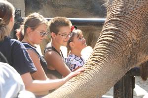 Mezinárodní den slonů v liberecké zoologické zahradě.