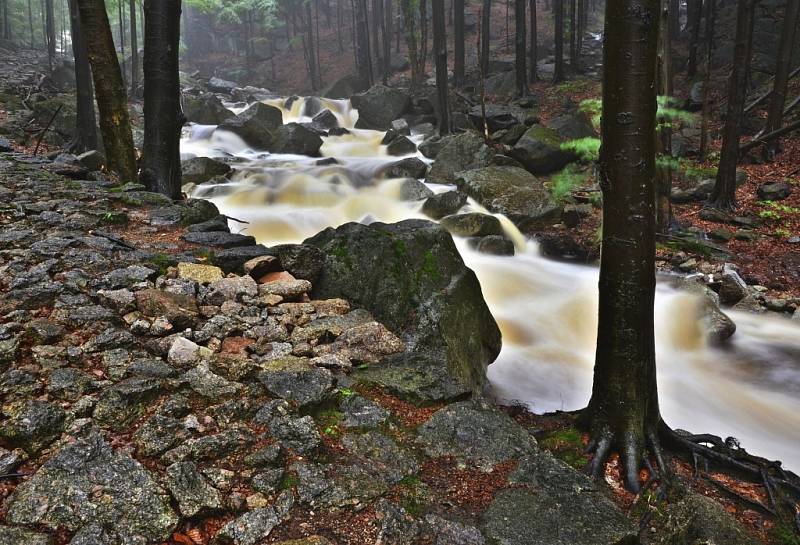 Jiří Koudelka: Černý potok