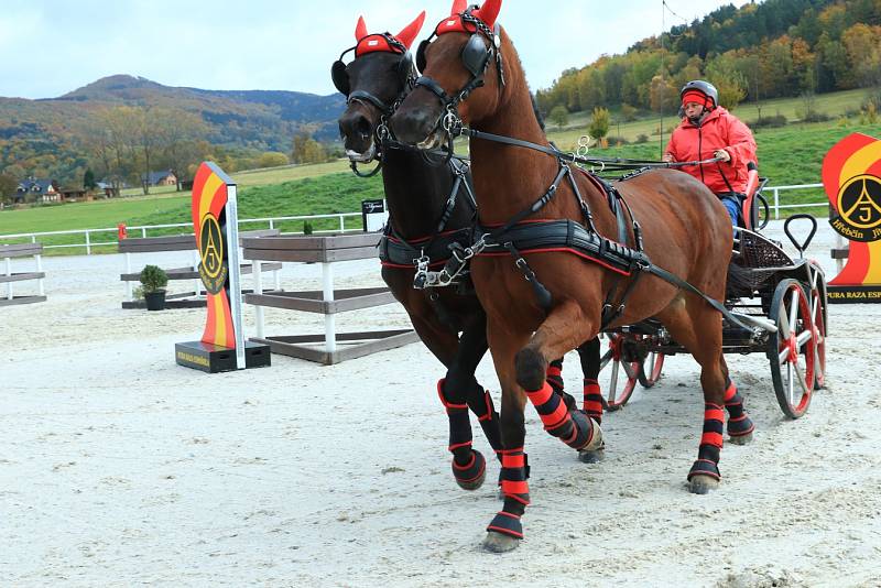 S letošní závodní sezonou se v sobotu 23. října loučil Jítravský Dvorec. K vidění tu byly vozatajské závody.