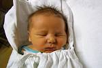Pavel Bendik se narodil 27. listopadu 2018 v liberecké porodnici mamince Andree Hamanové z Liberce. Vážil 3,7 kg a měřil 49 cm.