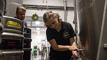 V zámeckém pivovaru Frýdlant vařili poprvé v historii  pivo z úrody chmele vypěstované na Střední škole hospodářské a lesnické ve Frýdlantě. Na snímku z 31. srpna je laborant a vařič Alena Marie Dančová.