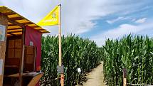 U Sychrova je aktuálně otevřeno bludiště v kukuřici. Navštívit ho můžete do září, dokud kukuřici nesklidí.