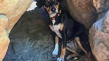 Do patnáctimetrové hloubky spadl pes z vyhlídky Pantheon na Malé Skále. Zvíře zachránili hasiči.