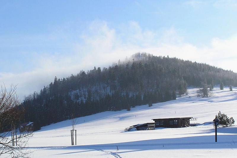 Bukovec v zimě