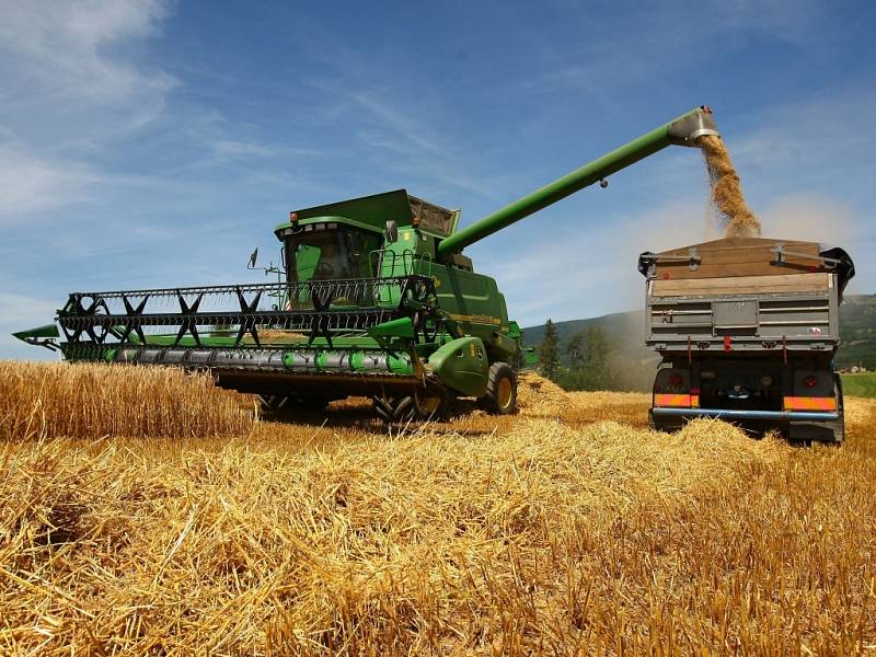 JEČMEN BUDE DOMA. Zemědělci z farmy Agro Bílá sklízejí na svých polích ozimý ječmen. V příštích týdnech je čeká ještě pšenice, žito a řepka.