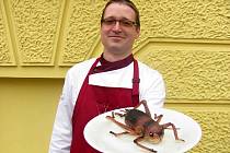 Šéfkuchař Petr Ocknecht předvedl své kulinářské umění na Velkém hmyzím večeru v Chrastavě, během něhož tři desítky dobrovolníků ochutnaly například cvrčky na másle nebo šváby v těstíčku.