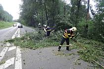  Spadlé stromy a dopravní nehody zaměstnávají hasiče.