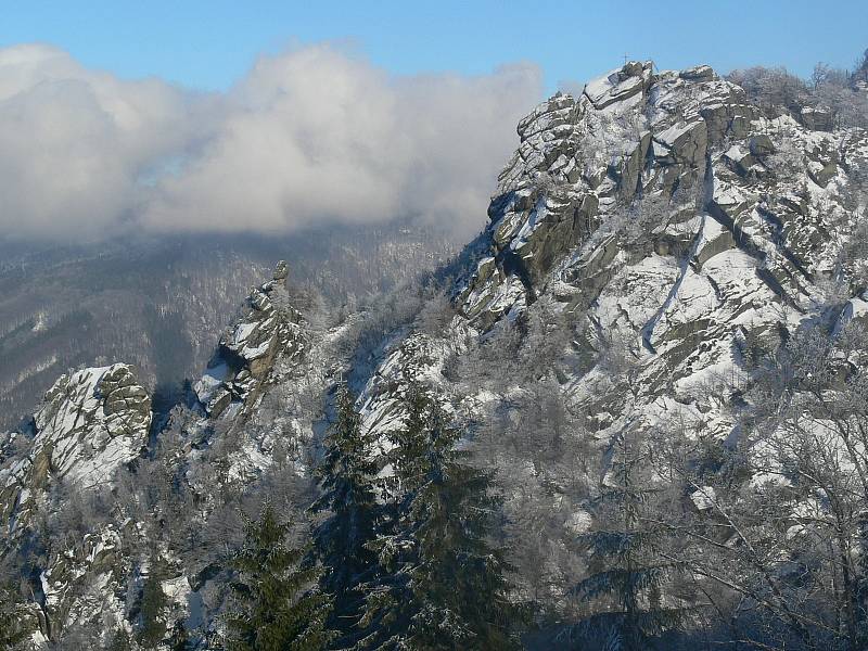 Jizerskohorské bučiny.