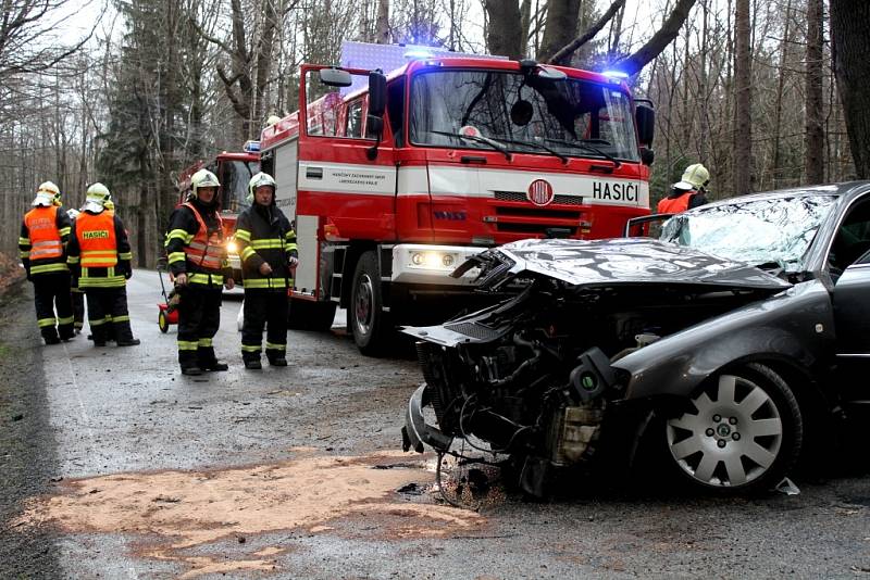 Vážná nehoda osobního automobilu Škoda Superb se stala v sobotu po poledni na silnici mezi Raspenavou a Oldřichovem v Hájích na Liberecku. V blízkosti Šolcova rybníku narazil řidič do stromu.