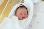 ROSALIE VOLŠOVÁ Narodila se 9. května v liberecké porodnici mamince Nikole Volšové z Liberce. Vážila 4,00 kg a měřila 52 cm. 