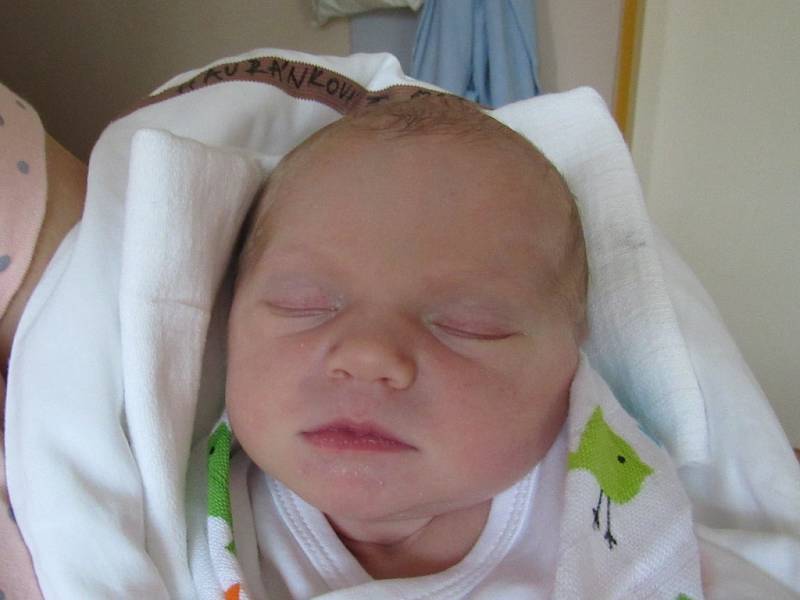 JITKA HAVRÁNKOVÁ  Narodila se 5. října v liberecké porodnici mamince Michaele Havránkové z Liberce. Vážila 3,03 kg a měřila 50 cm.   