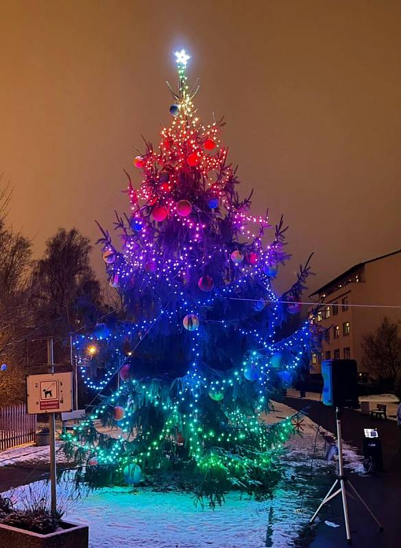 Vánoční strom před DS  Františkov v Liberci