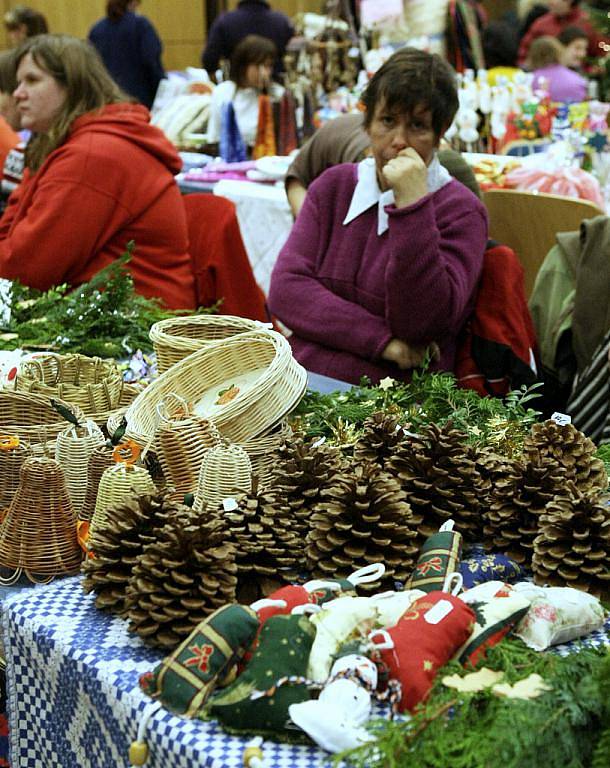 Klienti zařízení sociálních služeb z celého Libereckého kraje v budově Krajského úřadu předváděli a také prodávali své výrobky, nejčastěji s tématikou Vánoc.