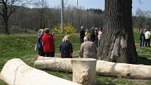 DUB V NOVÉM. Dub „ochránce“ už před časem ošetřili arboristé, teď k němu obec dostavěla sezení pro turisty a cyklisty. Dnes zadržené klády připomíná dřevěné sezení pod dubem.