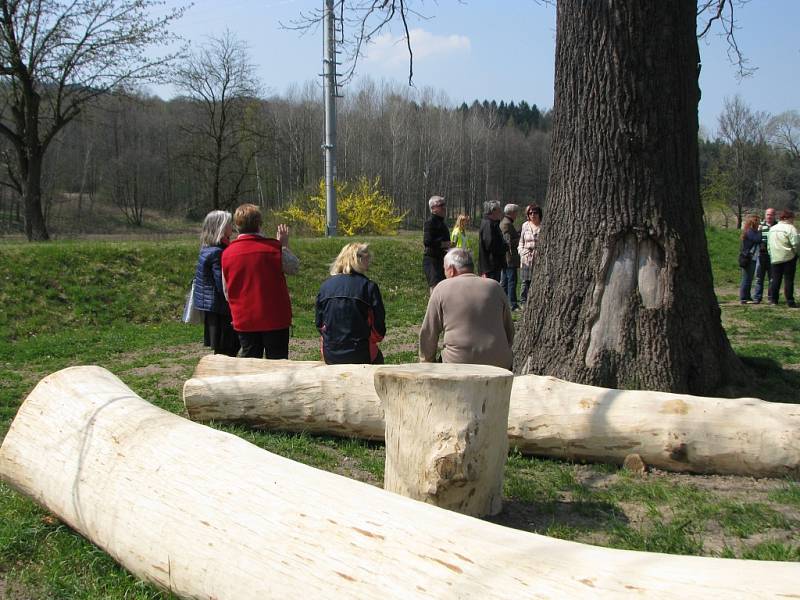 DUB V NOVÉM. Dub „ochránce“ už před časem ošetřili arboristé, teď k němu obec dostavěla sezení pro turisty a cyklisty. Dnes zadržené klády připomíná dřevěné sezení pod dubem.