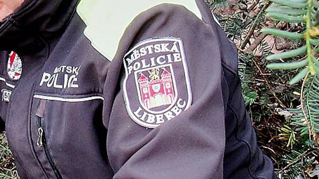 Městská policie Liberec, ilustrační foto.