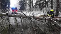 Počasí komplikuje dopravu v kraji. Hasiči ve Vratislavicích museli odstraňovat z cesty spadlý strom.