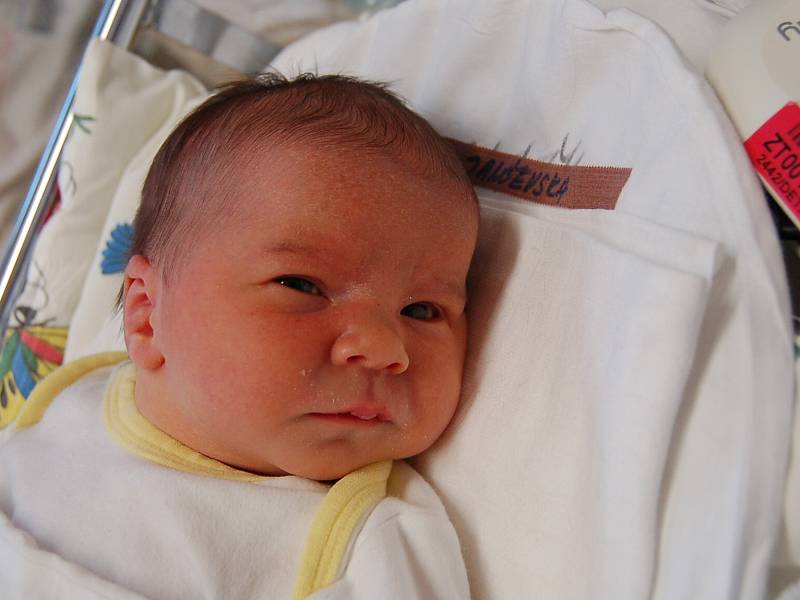 MARIJA JANČEVSKA  Narodila se 9. ledna v liberecké porodnici mamince Kostadince Sazdoska z Liberce.  Vážila 3,77 kg a měřila 51 cm.