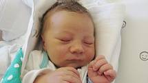 TOMÁŠ SVOBODA Narodil se 7. června v liberecké porodnici mamince Kristýně Krásné z Hrádku nad Nisou. Vážil 3,41 kg a měřil 50 cm.