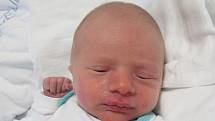 VOJTĚCH VELE Narodil se 7. února 2018 v liberecké porodnici mamince Zuzaně Havelkové z Liberce. Vážil 2,98 kg a měřil 50 cm. 