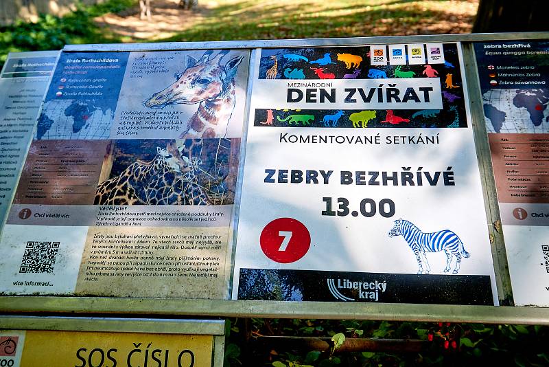 Mezinárodní den zvířat v liberecké zoologické zahradě.