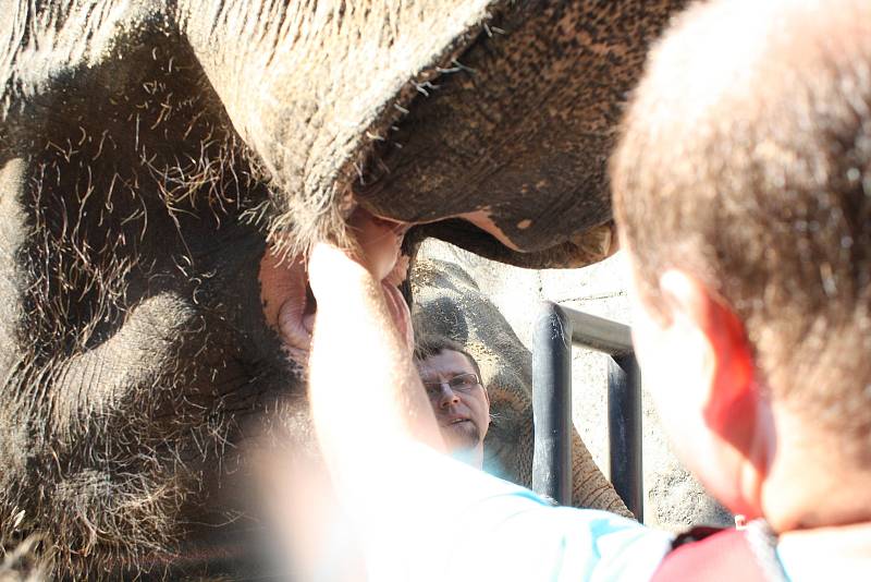 Mezinárodní den slonů v liberecké zoologické zahradě.