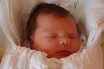 Maminka Barbora Krištofová z Liberce v liberecké porodnici dne 12.04.2008 přivedla na svět dceru Kateřinu Krištofovou, která při narození vážila 2,85 kg a měřila 46 cm. Blahopřejeme!