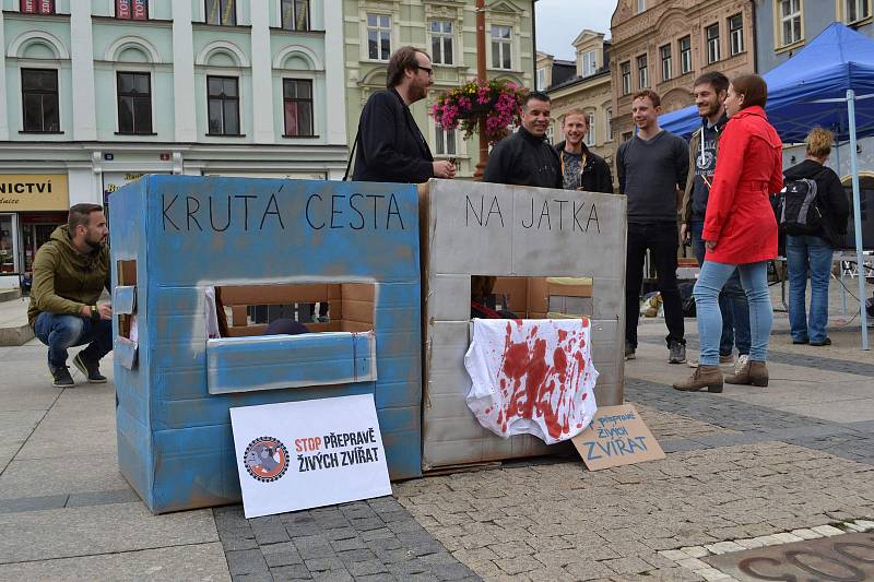 Na středu 13. září 2017 připadl Mezinárodní den STOP přepravě zvířat. A demonstrace se konala mimo jiné i na libereckém náměstí.