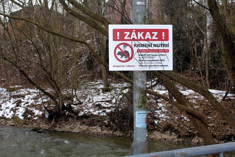 Na výskyt nutrií upozorňuje cedule, která zakazuje jejich krmení. Nutrie ničí faunu a flóru ve svém okolí, mohou napadnout děti a domácí zvířata a v neposlední řadě přenáší nakažlivé nemoci.