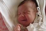Maminka Klára Zmatlíková z Liberce ve frýdlantské porodnici dne 14.04.2008 přivedla na svět dceru Dominiku Zmatlíkovou, která při narození vážila 2,9 kg a měřila 49 cm. Blahopřejeme!