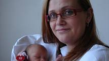 Maminka Markéta Mandlová z Liberce ve frýdlantské porodnici dne 11.04.2008 přivedla na svět dceru Marii Mandlovou, která při narození vážila 2,95 kg a měřila 51 cm. Blahopřejeme!