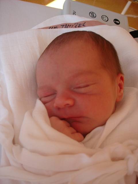 Maminka Petra Jirušová z Nového Města v liberecké porodnici dne 10.10.2008 porodila Adama Tomíčka, který vážil 3,30 kg a měřil  50 cm.