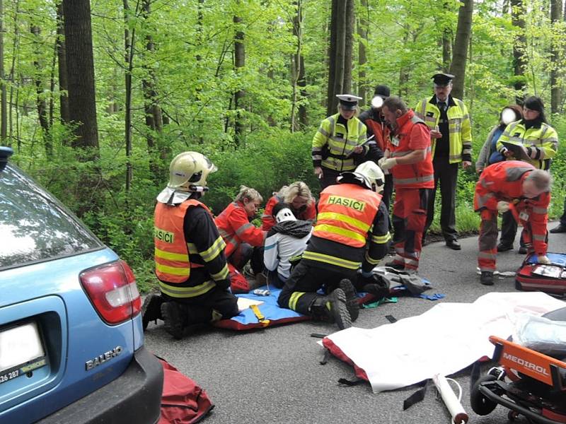 Hasiči byli povoláni k dopravní nehodě, při které auto narazilo do stromu. 