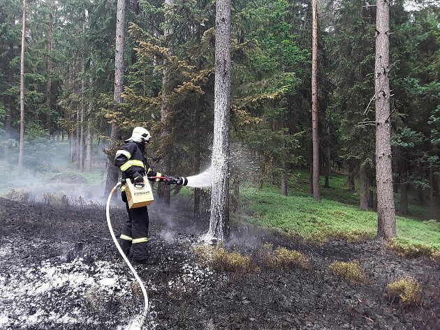 Hasiči zasahují u požáru lesa na Prosečském hřebeni u Vratislavic.